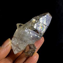 【黑豹】彩色爆炸頭假發頭套 120克份量足活動裝扮球迷氣氛運動會演出道具 歷史價格詳細信息