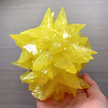 亮面珠光標籤貼紙 40mm*25mm 1000張/捲 1捲裝 歷史價格詳細信息
