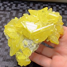亮面珠光標籤貼紙 40mm*25mm 1000張/捲 1捲裝 歷史價格詳細信息