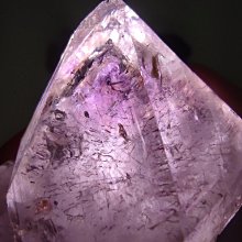 骨牌效應 恩田陸 蜜蜂與遠雷作者 角川 A03 歷史價格詳細信息