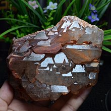 阿賽斯特萊 天然亮皮三輪骨幹骸骨鱷魚皮城堡紫髮超七水晶原礦302G 資料庫記憶體電路板黃藍紫黑白銀鈦晶髮晶球手排珠綠幽靈 歷史價格詳細信息