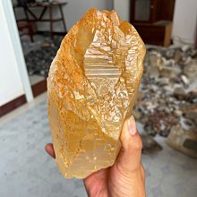 黑白紋拉丁舞標準裙虎紋少兒拉丁舞服迷彩拉丁舞裙 考級服 比賽裙 歷史價格詳細信息