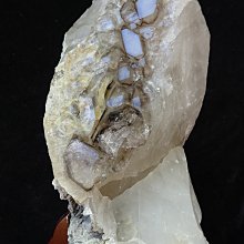 ~shalin-crystal~巴西鱷魚骨幹水晶~1.38公斤~完整度高~除穢聚氣~化煞聚財~值得珍藏! 歷史價格詳細信息