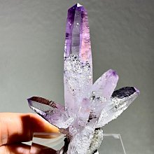 雷姆‧紫色慶生內衣Ver. Re:從零開始的異世界生活【GSC官方旗艦店】( 在庫 ) 歷史價格詳細信息