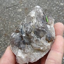 鱷魚超完美除螞蟻凝膠針劑10g 免運 現貨 廠商直送 歷史價格詳細信息