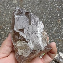 ~shalin-crystal~手握式~超完整優質巴西鱷魚骨幹水晶~146公克~含雲母~能量優質~一元起標! 歷史價格詳細信息