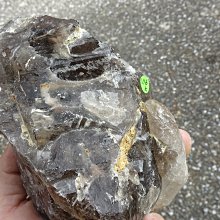 ~shalin-crystal~巴西鱷魚骨幹水晶~1.38公斤~完整度高~除穢聚氣~化煞聚財~值得珍藏! 歷史價格詳細信息