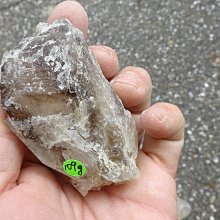 鱷魚超完美除螞蟻凝膠針劑10g 免運 現貨 廠商直送 歷史價格詳細信息