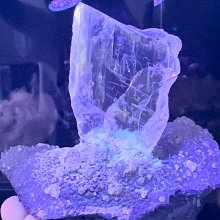 螢光方解石 水晶共生548g*高8.5*長12*厚4.5公分#454 歷史價格詳細信息