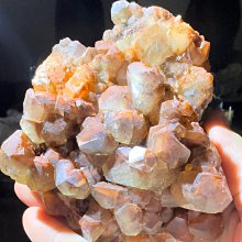 天然原礦粉貝珊瑚貝手串女手錬項鏈水晶珍珠母貝殼小香風公主套裝 歷史價格詳細信息