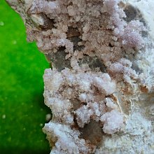 多多現貨免運全網最低價110V小型工頻離心風機FLJ多翼式散熱風機220氣模鼓風機靜音抽風機 歷史價格詳細信息