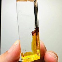 紅花梨象棋實木高檔大號中國象棋棋盤套裝紅木象棋子像棋象棋棋盤 歷史價格詳細信息