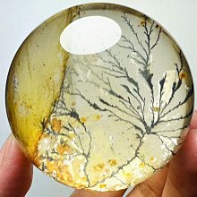 收藏級  花梨木樹瘤 開運印鑑印章 歷史價格詳細信息