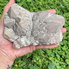 【內蒙古紅山遺址生坑老河磨玉透閃石玉珠 】保真包老（文化期&mdash;16 歷史價格詳細信息