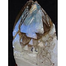 ~shalin-crystal~巴西鱷魚骨幹水晶~1.38公斤~完整度高~除穢聚氣~化煞聚財~值得珍藏! 歷史價格詳細信息