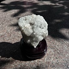 2000克/桶✪毛小孩寵物店n✪超大桶 A star Bones 雙刷頭 五星棒 潔牙骨 亮白 犬 狗 零食 阿曼特 歷史價格詳細信息