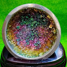 【免運】宇宙未解之謎動物植物恐龍之謎中小學生青少年版兒童科普百科 歷史價格詳細信息