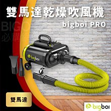 bigboi PRO 雙馬達乾燥吹風機 吹水機 居家用品 居家清潔 吹風機 乾燥吹水 廠商直送 歷史價格詳細信息
