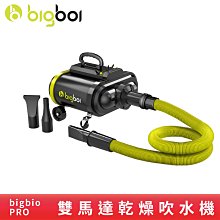 bigboi PRO 雙馬達乾燥吹風機 吹水機 居家用品 居家清潔 吹風機 乾燥吹水 廠商直送 歷史價格詳細信息