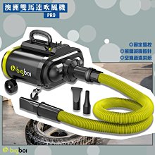 bigboi PRO 雙馬達乾燥吹風機 吹水機 居家用品 居家清潔 吹風機 乾燥吹水 廠商直送 歷史價格詳細信息