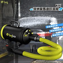 bigboi 單馬達吹水機MINI 送寵物電剪 吹風機 吹水機 居家清潔 打掃 吹塵 廠商直送 歷史價格詳細信息