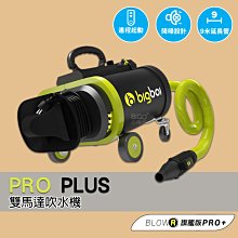 bigboi PRO 雙馬達乾燥吹風機 吹水機 居家用品 居家清潔 吹風機 乾燥吹水 廠商直送 歷史價格詳細信息