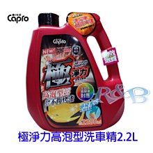 Capro車之生活 TS-96 極銳澤2代 皮革滋潤活化乳液750ml【真便宜】 歷史價格詳細信息