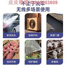 車載大功率洗車水槍 無車載二合一洗車機 高壓水泵車用便攜 小琦琦の店 歷史價格詳細信息