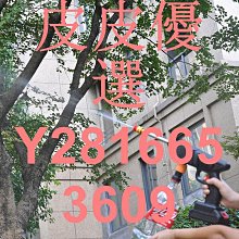 洗車機高壓水槍家用便攜式強力噴水槍充電鋰電池洗車澆花汽車 歷史價格詳細信息