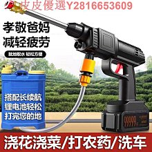 洗車機家用水槍鋰電充電便攜式高壓水槍新型洗車神器車用家用 歷史價格詳細信息