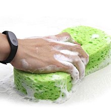 壓縮洗車海綿(1入) 顏色隨機出貨【小三美日】D021490 歷史價格詳細信息
