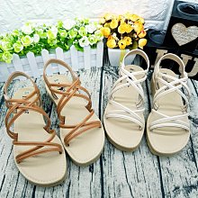 [現貨]MIT 精鴻 威力博士 ~安可咀嚼錠  120粒 支氣管保健營養品~ 犬貓適用 似養氣/吉沛思/晶骨力 歷史價格詳細信息