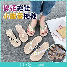 人字沙灘夾腳拖 人字脫 夾腳拖 拖鞋 大童 大人 女童 男童 海邊 玩水 橘魔法【p0061207205770】 歷史價格詳細信息