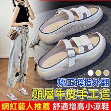 願望生活~夏日經典款厚底 一字涼鞋【快速】厚底涼鞋 拖鞋 休閒涼鞋 平底涼拖鞋 鬆高涼鞋 一字帶涼鞋 魔鬼氈涼鞋 歷史價格詳細信息