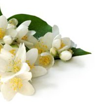 【冠亦商行】嚴選 尿素 化妝品級 保溼 歷史價格詳細信息