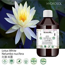 【芳香療網】白千層Cajeput有機精油 (與純露同農場) 歷史價格詳細信息