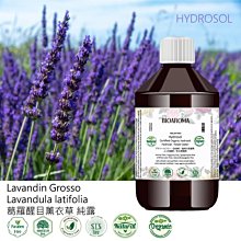 【芳香療網】羅馬洋甘菊有機精油Chamomile Roman (與純露同農場) 歷史價格詳細信息