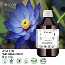【純露工坊】白蓮有機花水純露保濕舒緩亮白緊實控油Lotus White-Nelumbo nucifera 500ml 歷史價格詳細信息