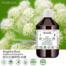 Angelica Collection My First Crucifix 8&quot; Fine Porcelain by Malco for Girl New 歷史價格詳細信息