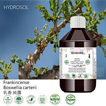 【純露工坊】1000ml☆ Frankincense乳香   有機花水純露保濕舒緩亮白緊實控油 歷史價格詳細信息