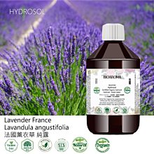 【純露工坊】法國迷迭香有機花水純露保濕舒緩亮白緊實控油Rosemary-French 500ml 歷史價格詳細信息