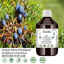 喜瑪拉雅水晶骨幹 祭壇水晶 造型美 通透 T1276 歷史價格詳細信息