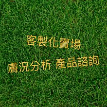 客製化賣場-預購區/水晶造型滴膠吊飾 歷史價格詳細信息