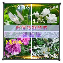 100%低炭粉除氯中性椰殼活性炭FRP桶填充濾心原料      貨號 602238  Seven star淨水網 歷史價格詳細信息
