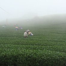 御翠軒天然原礦金珀蜜蠟琥珀雕刻心經圓珠男女款手串 歷史價格詳細信息