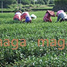 新鮮 手工製作 巧克力豆餅乾????巧克力豆 手工餅乾180g 12入巧克力餅乾 巧克力豆餅乾 巧克力曲奇 手做餅乾 曲奇餅乾 歷史價格詳細信息