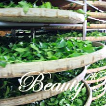 【專業茶道】手編竹製茶漏(茶漏 茶濾 茶渣 茶道配 茶具 泡茶工具 擺飾) 歷史價格詳細信息