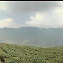 佳韻寶孕婦枕頭護腰側睡枕用品睡覺側臥枕孕神器託腹懷孕專用抱枕 歷史價格詳細信息