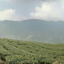 佳韻寶孕婦枕頭護腰側睡枕用品睡覺側臥枕孕神器託腹懷孕專用抱枕 歷史價格詳細信息