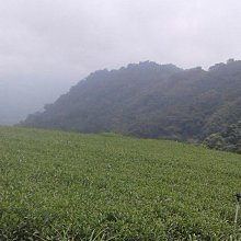 佳韻寶孕婦枕頭護腰側睡枕用品睡覺側臥枕孕神器託腹懷孕專用抱枕 歷史價格詳細信息